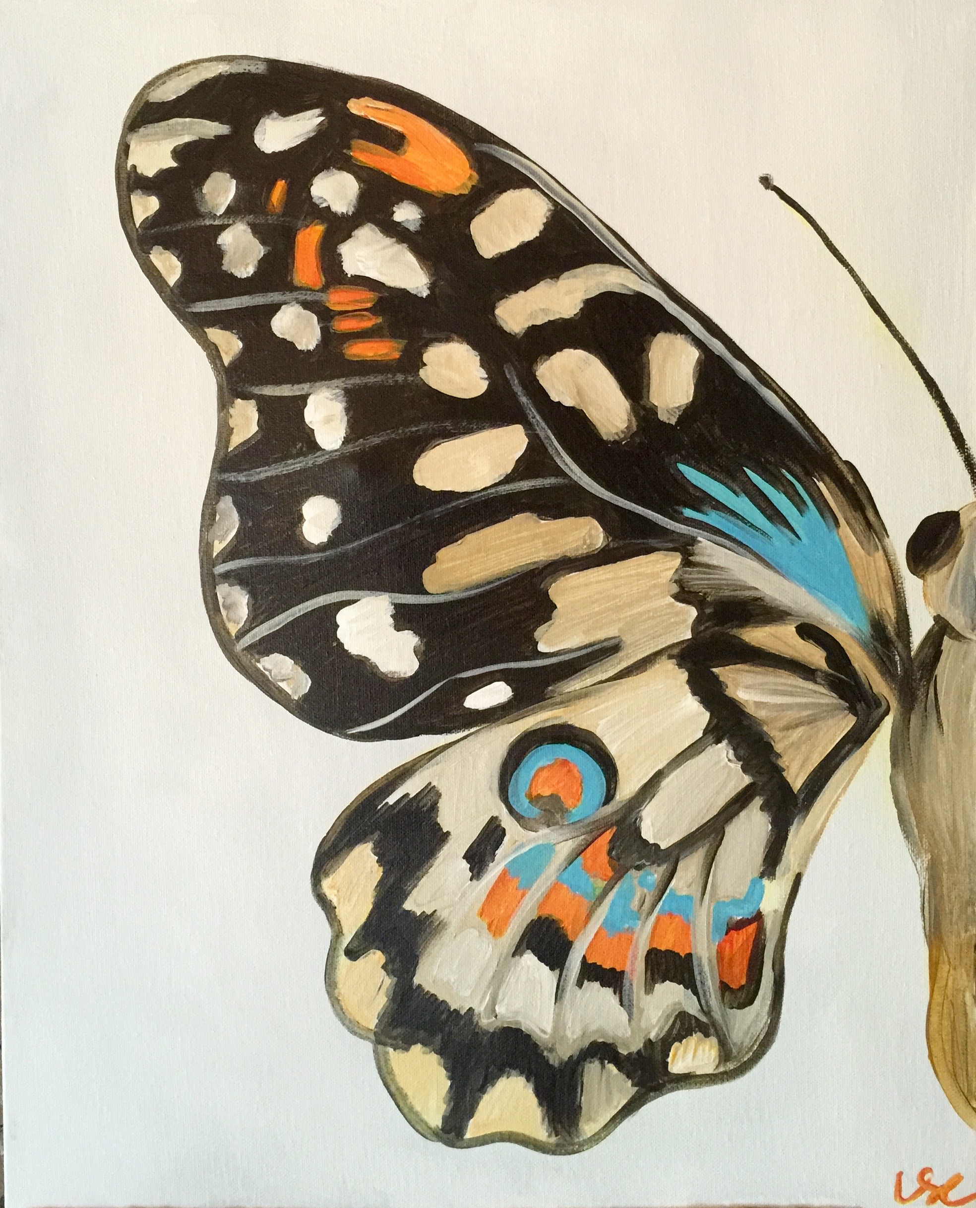 Lauren's Butterfly Wing